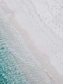 A sunlit beach with turquoise waves and a traveler's footprints in the sand.