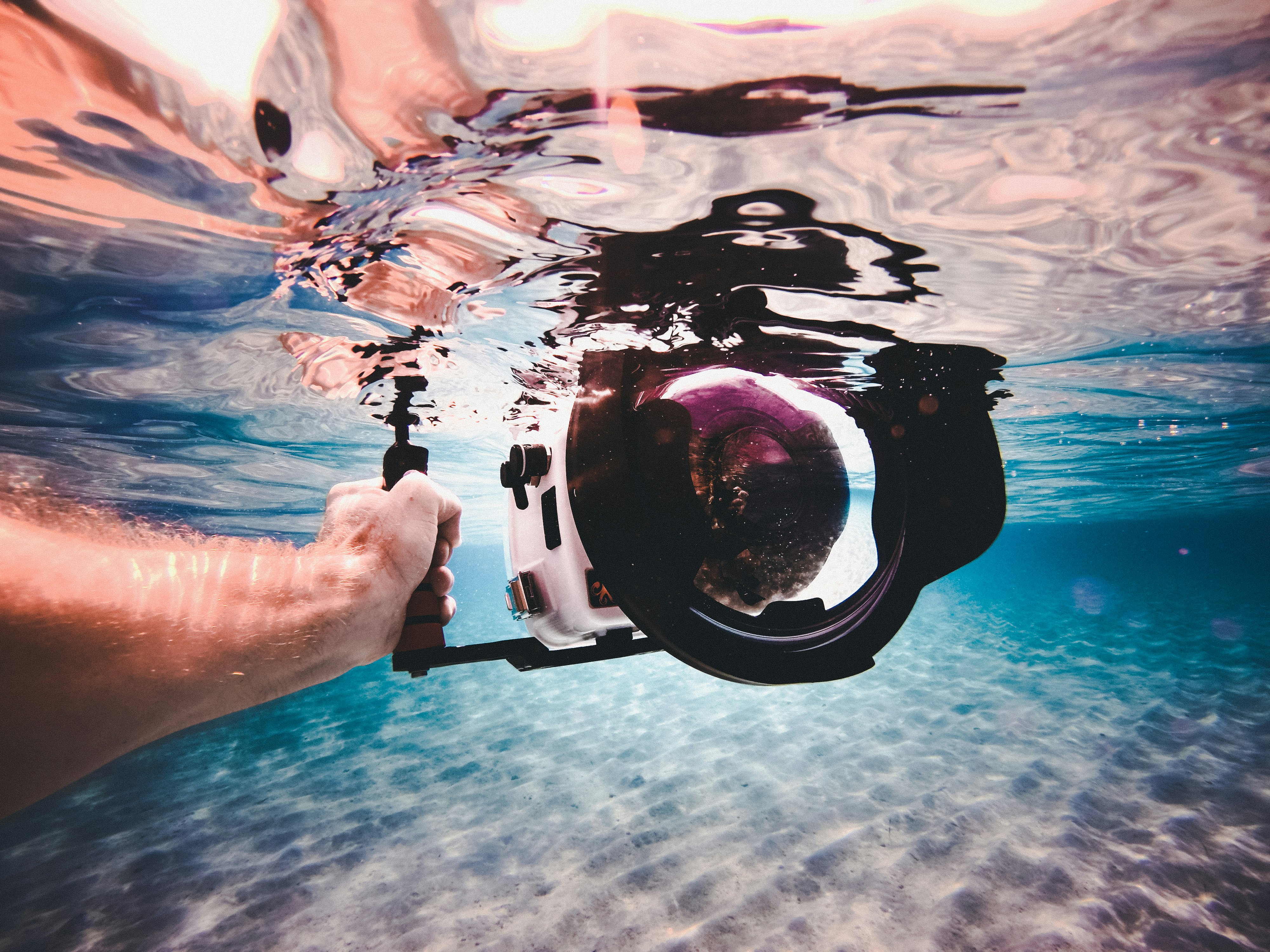 person holding white and black underwater camera