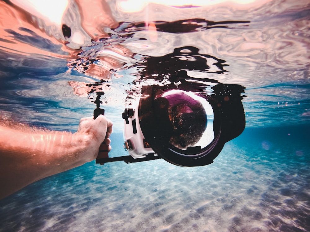 person holding white and black underwater camera