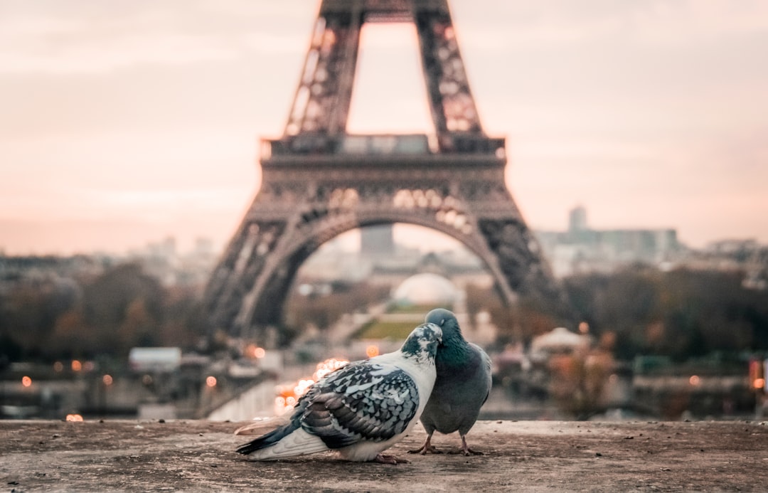 saint-valentin à paris