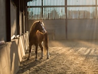 A peaceful barn interior with sunbeams filtering through dusty air.