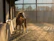 A proud rider gently patting their Arabian horse in a sunlit arena at Ramirez Training Center.