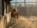 A horse stands indoors in a sunlit arena, with beams of light filtering through large slatted windows. The setting has a serene and warm ambiance, with shadows cast along the sandy floor.