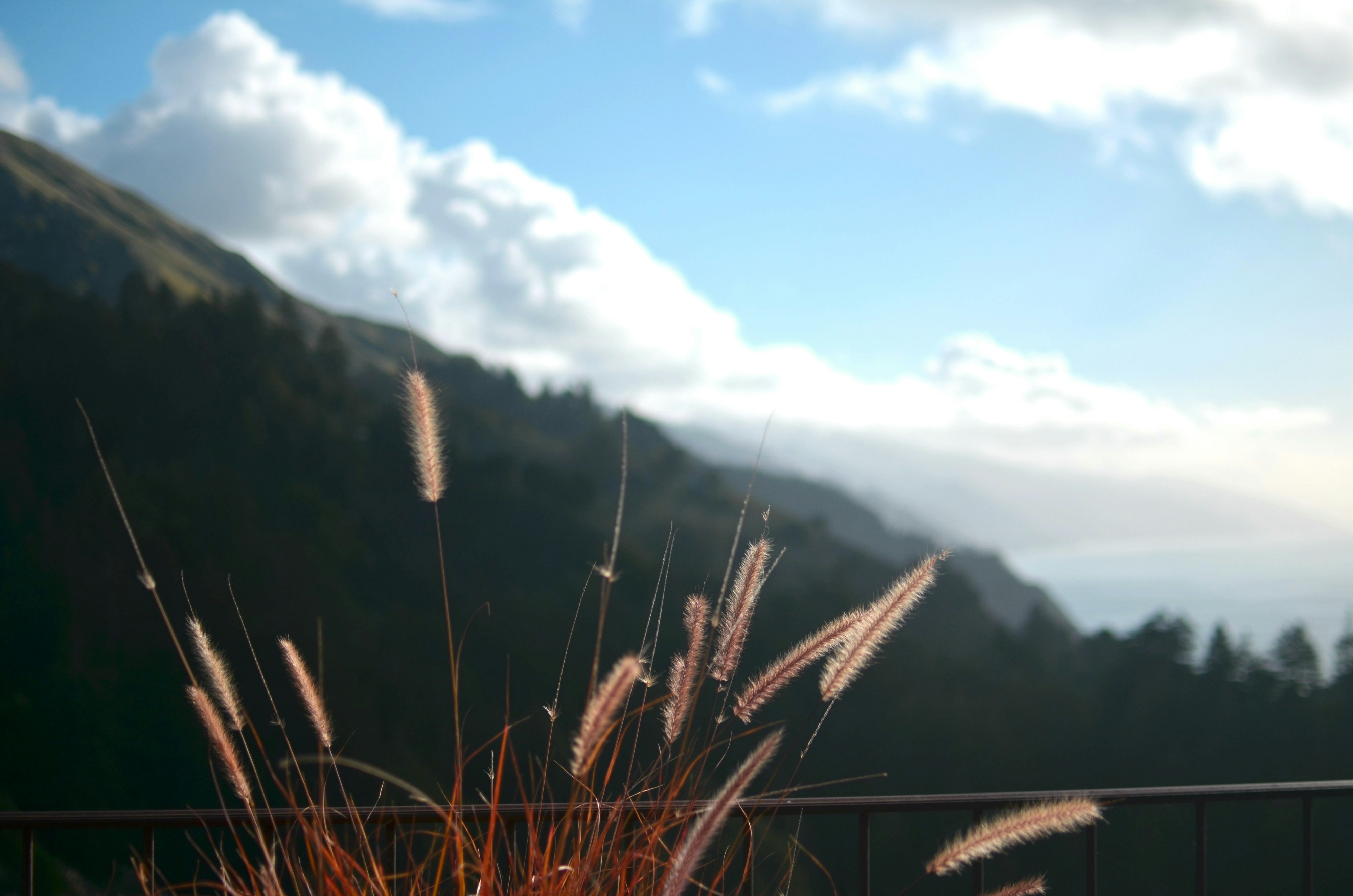 Free Unsplash photo from Ebba Hedin