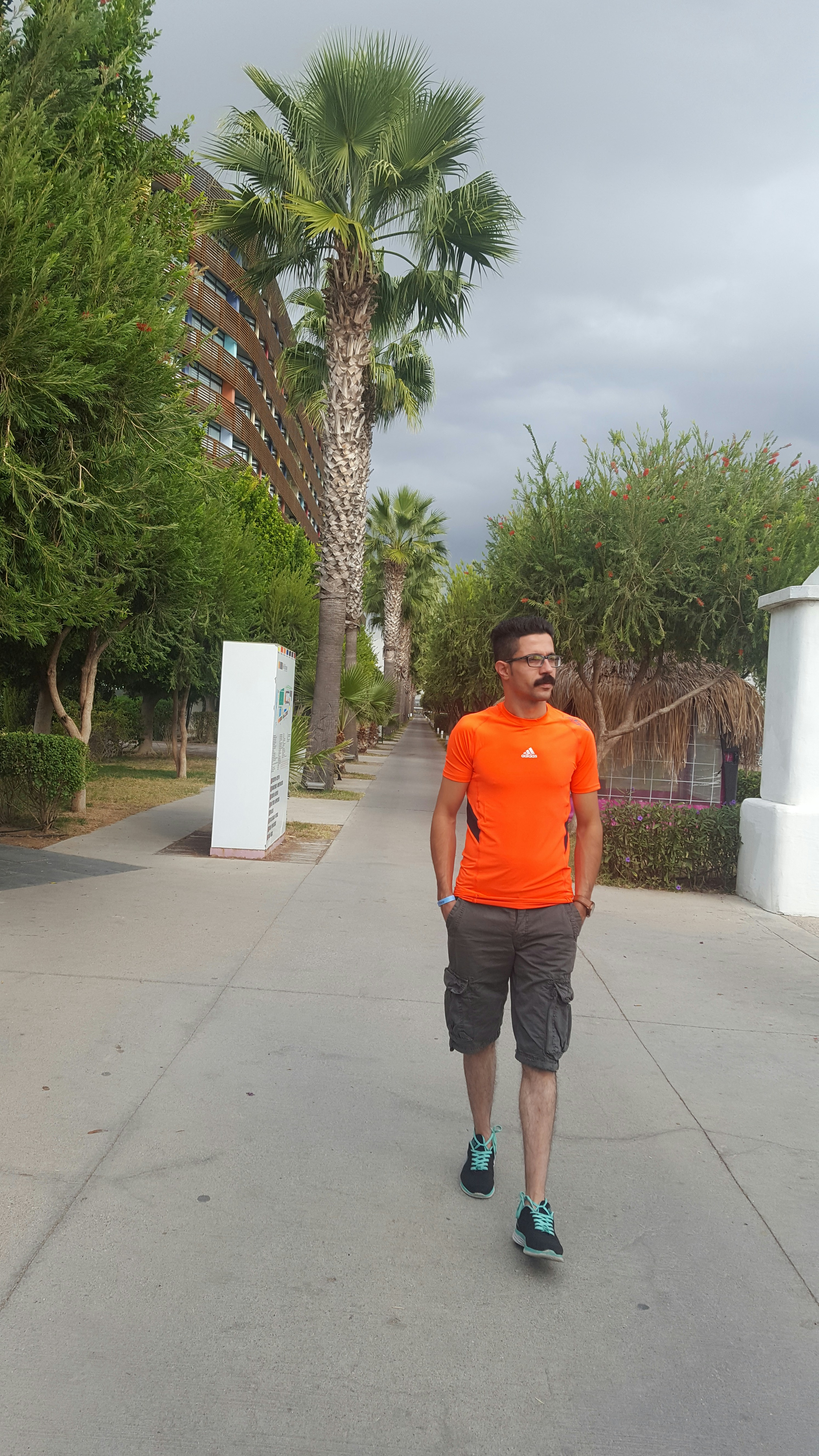 Free Unsplash photo from Ali Rostami