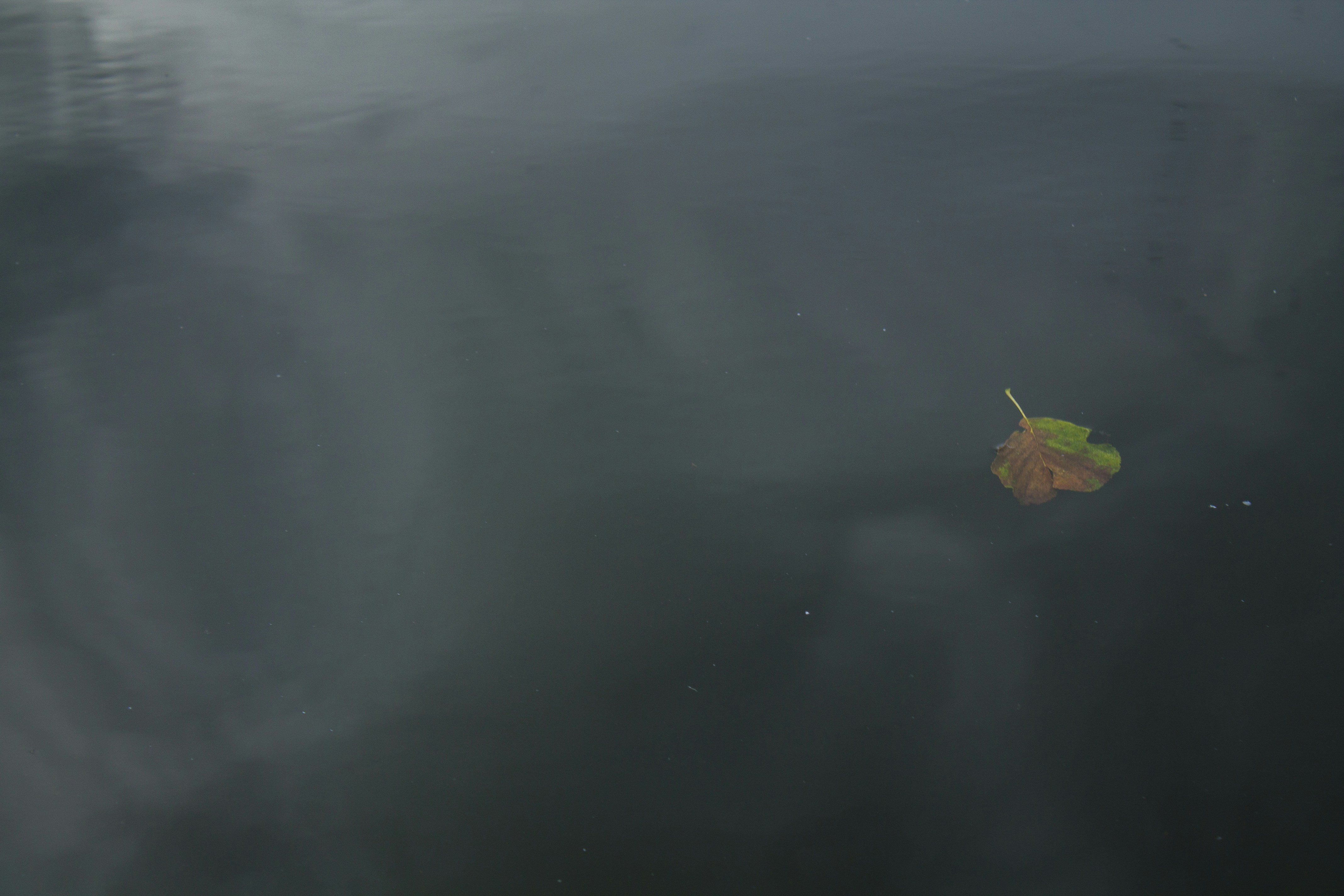 Free Unsplash photo from Ana Oliveira