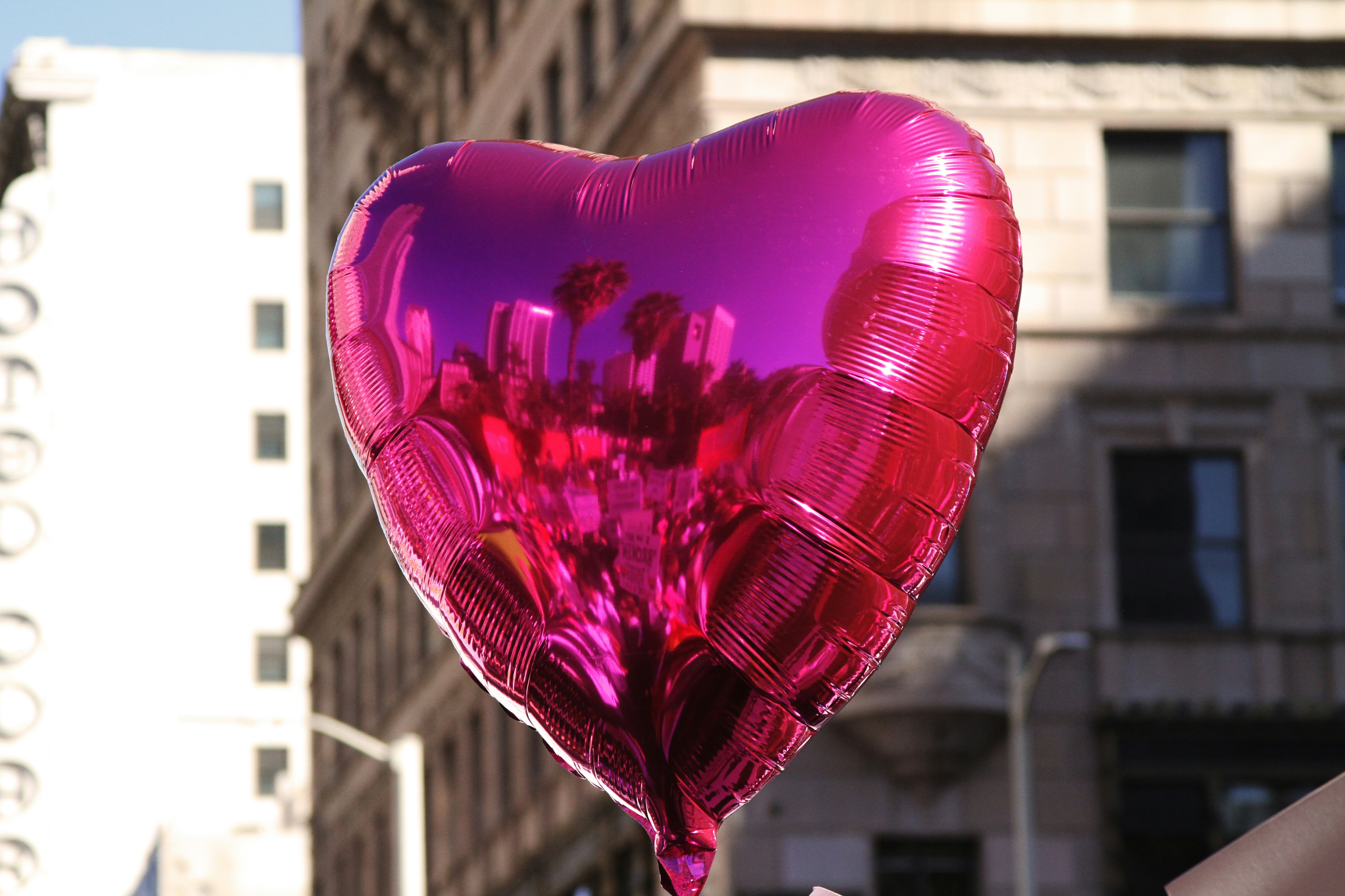 Free Unsplash photo from Alyssa Kibiloski