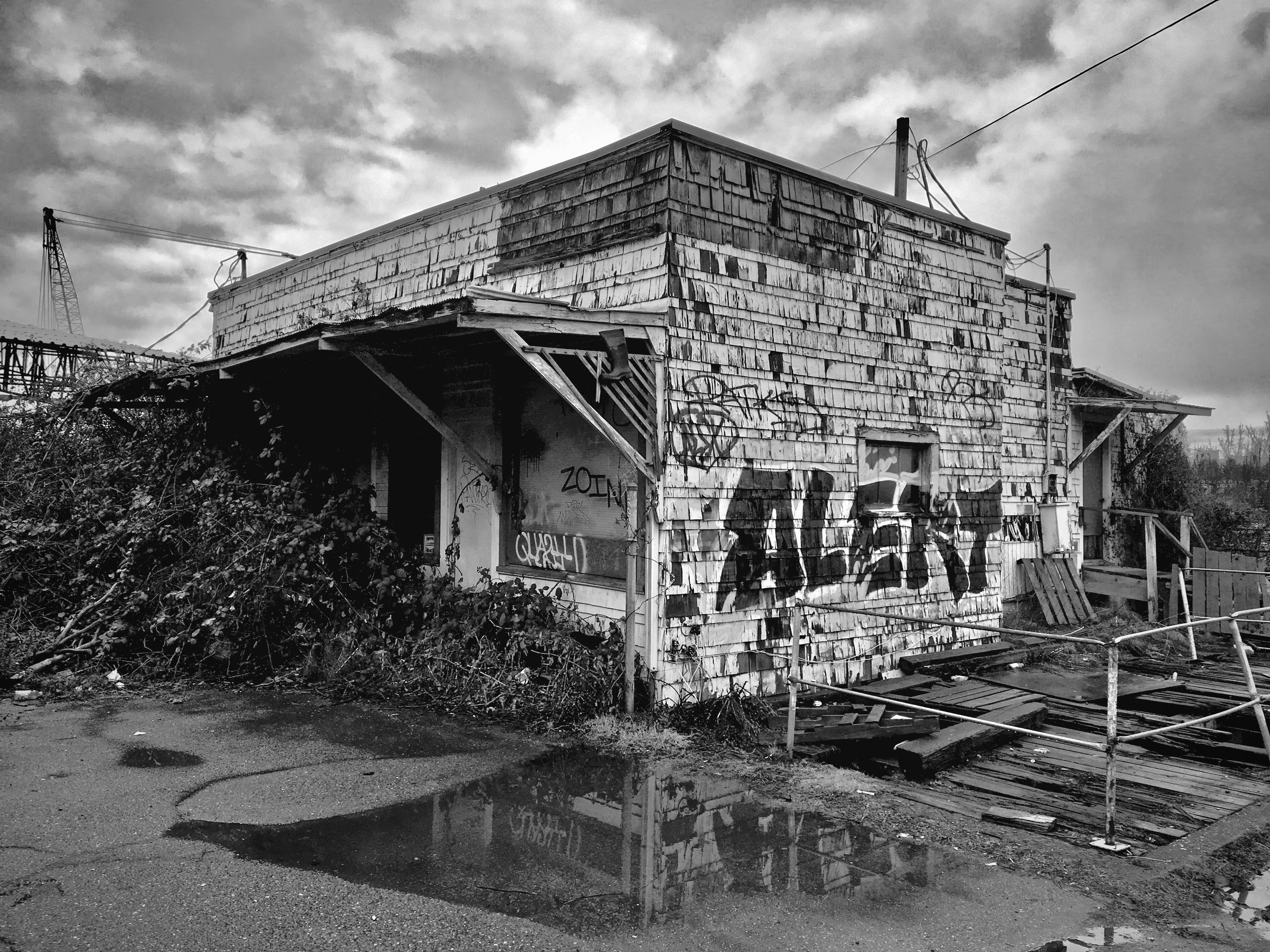 Free Unsplash photo from Derek Madison