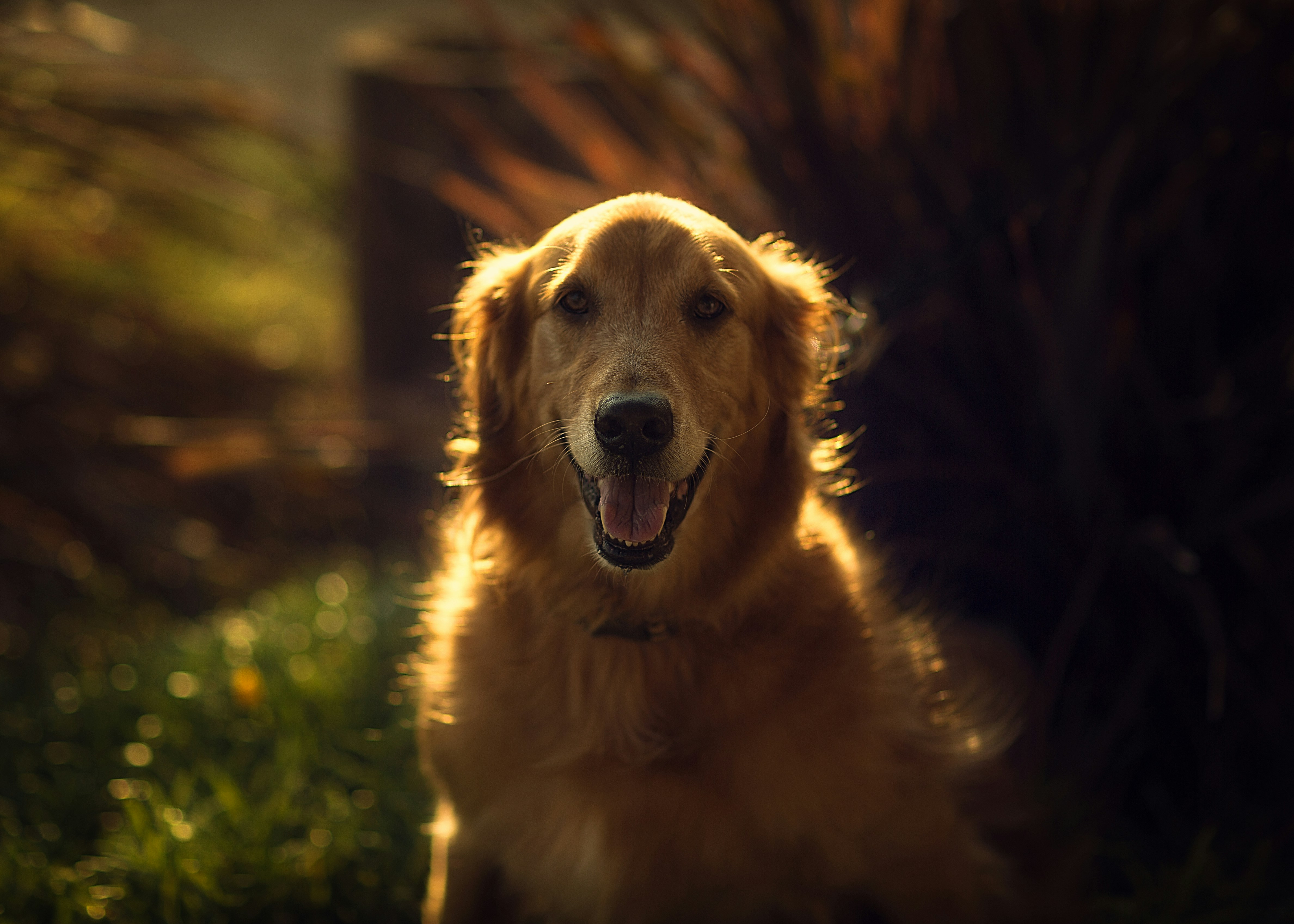 Free Unsplash photo from Apollo Reyes