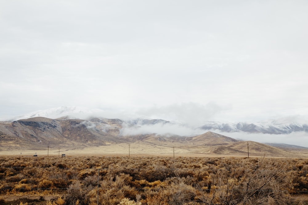 cloud-covered mountain