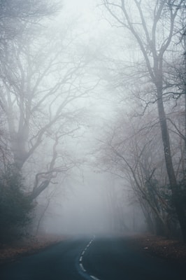 Dense Fog Blankets Delhi-NCR, Low Visibility At Airport Amid Cold Wave