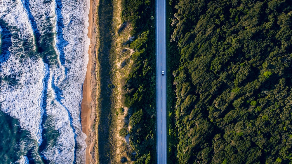 fotografía aérea de una carretera de hormigón entre árboles y olas marinas durante el día
