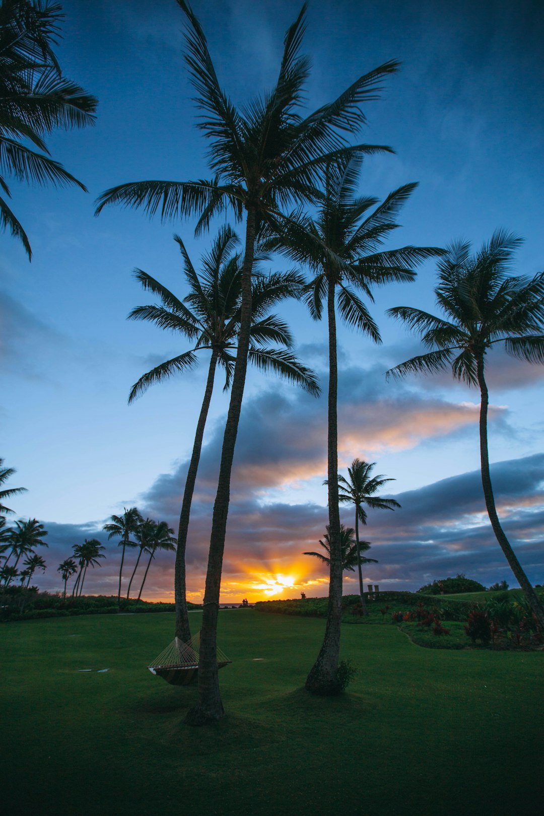 Tropics photo spot Grand Hyatt Kauai Resort & Spa United States