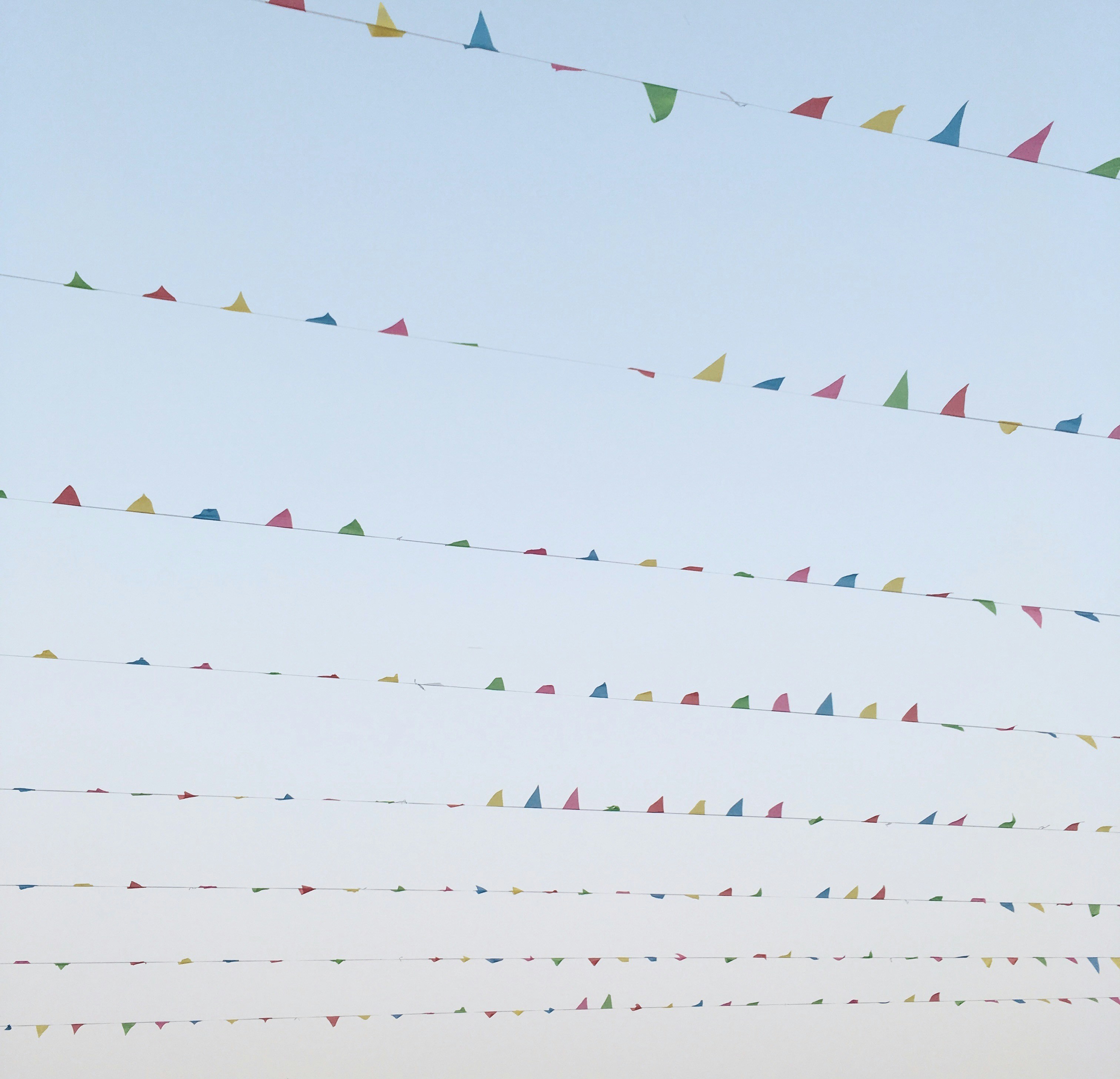 Free Unsplash photo from wang ward