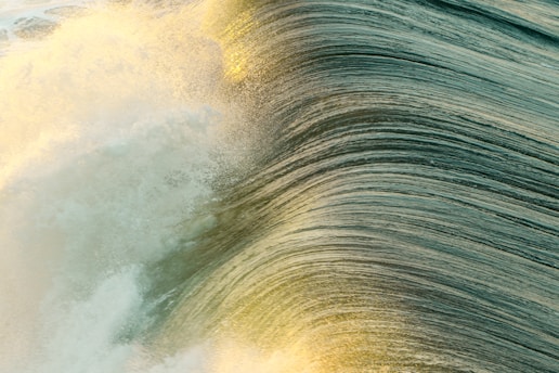 A large ocean wave is captured mid-motion, with sunlight creating a golden hue at the crest and frothy details highlighting the water's surface. The wave's texture and the light play create a dynamic and powerful visual effect.