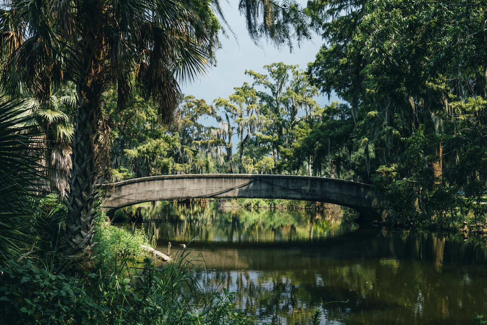 A stone bridge framed by mature live oaks and subtropical greenery in New Orleans City Park