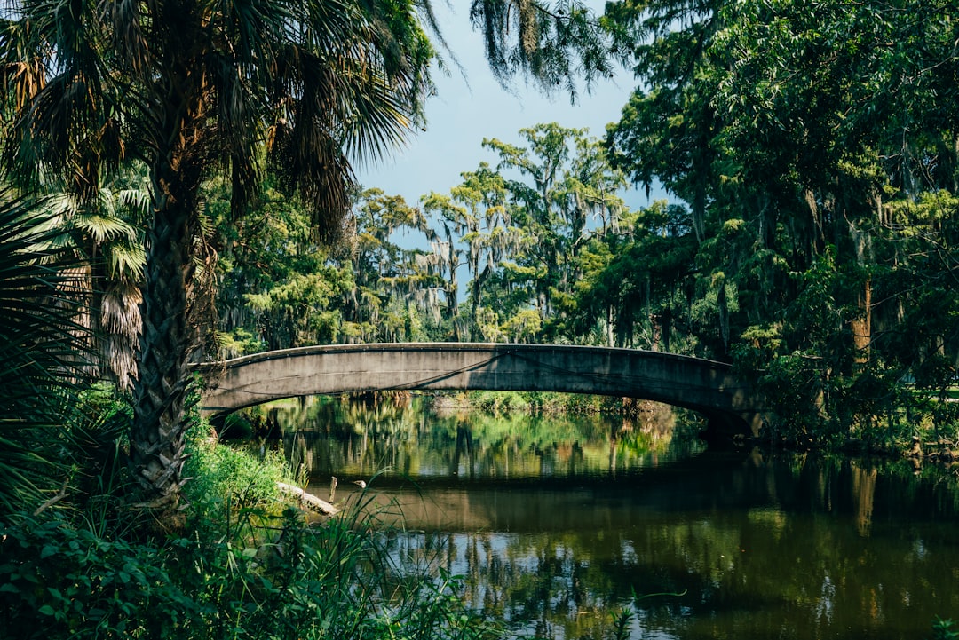 brown concrete bridge near green trees during daytime photo