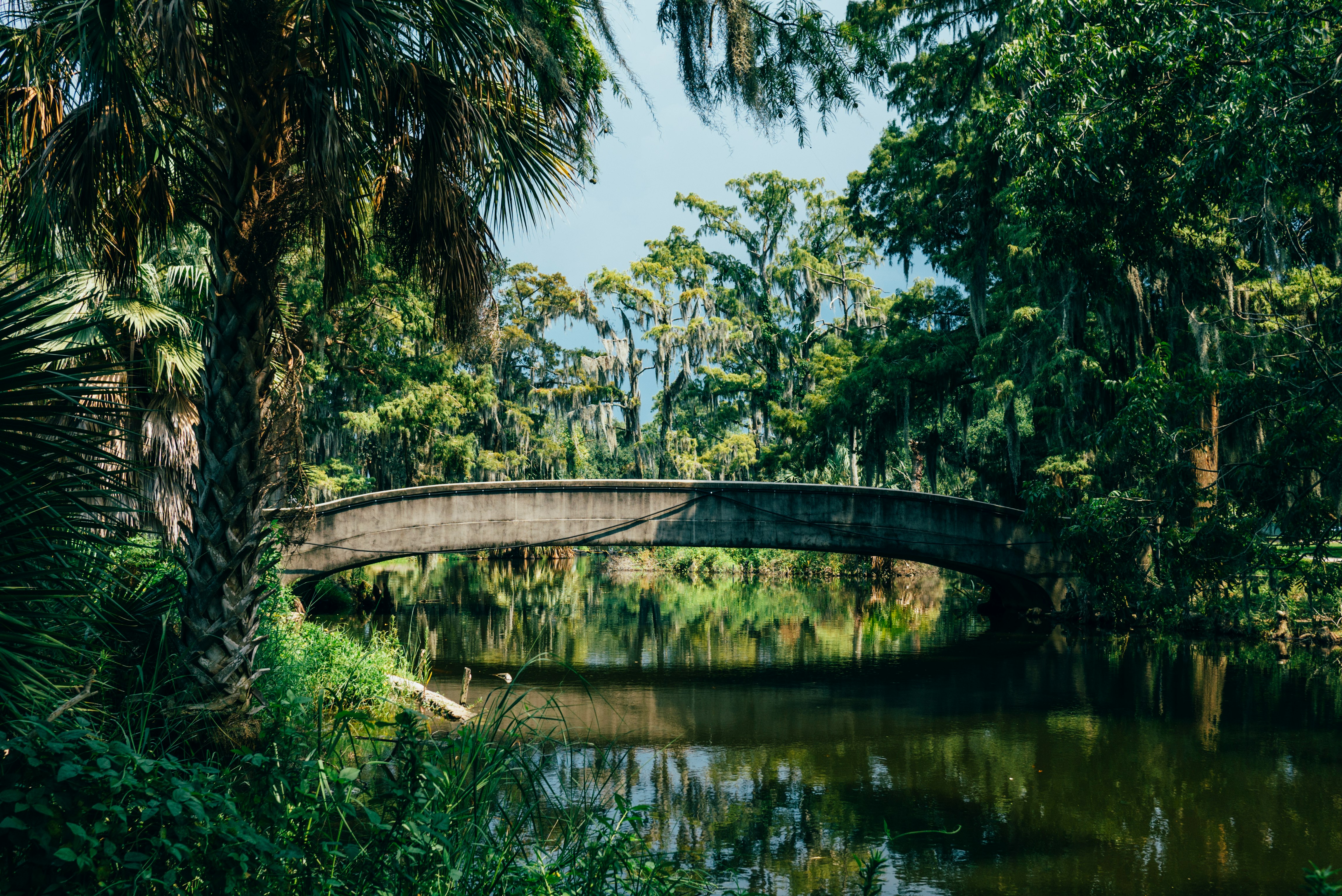 brown concrete bridge near green trees during daytime photo