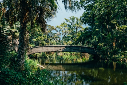 brown concrete bridge near green trees during daytime photo in City Park United States
