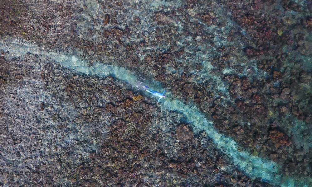 an aerial view of a river running through a forest