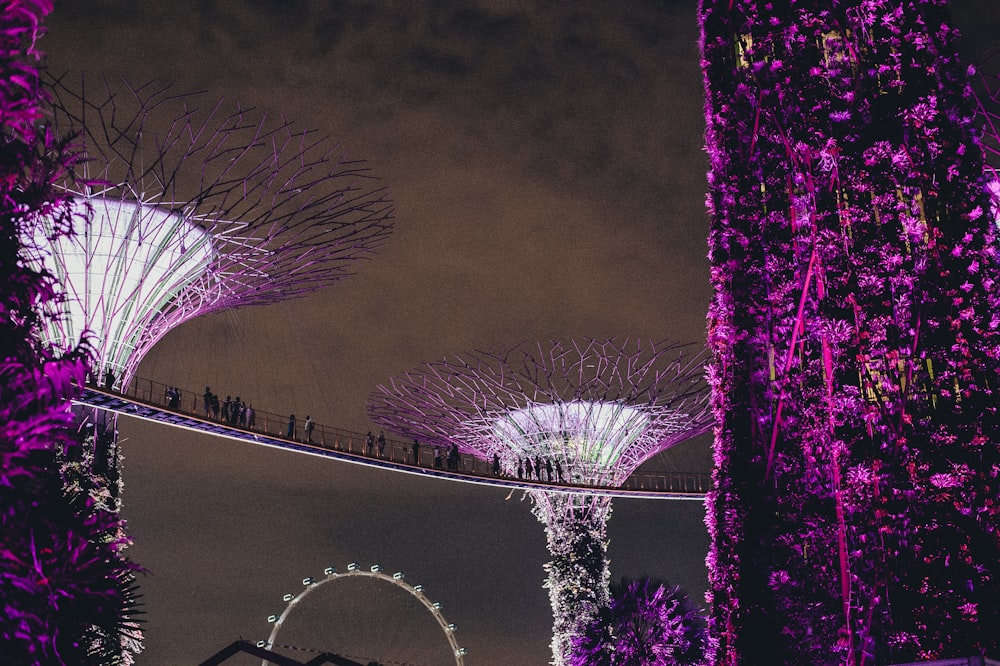 a view of the gardens by the bay at night