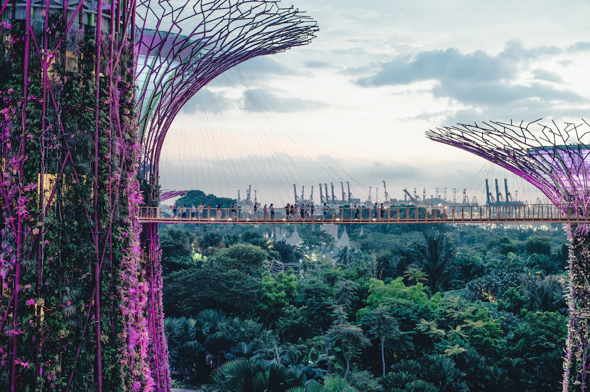 Gardens by the Bay OCBC Skyway and Supertree Grove under dry-season skies