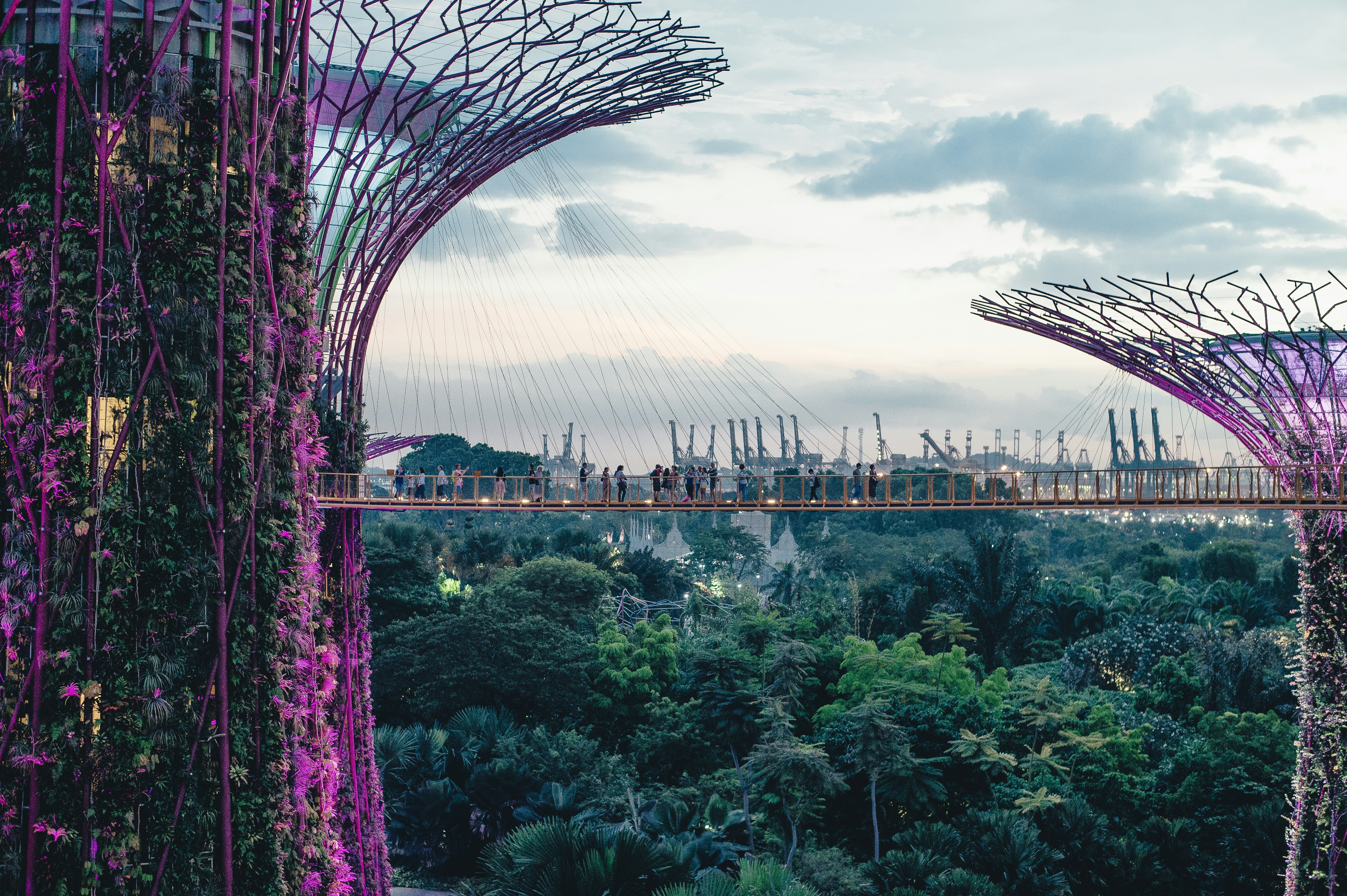 High in the SuperTrees