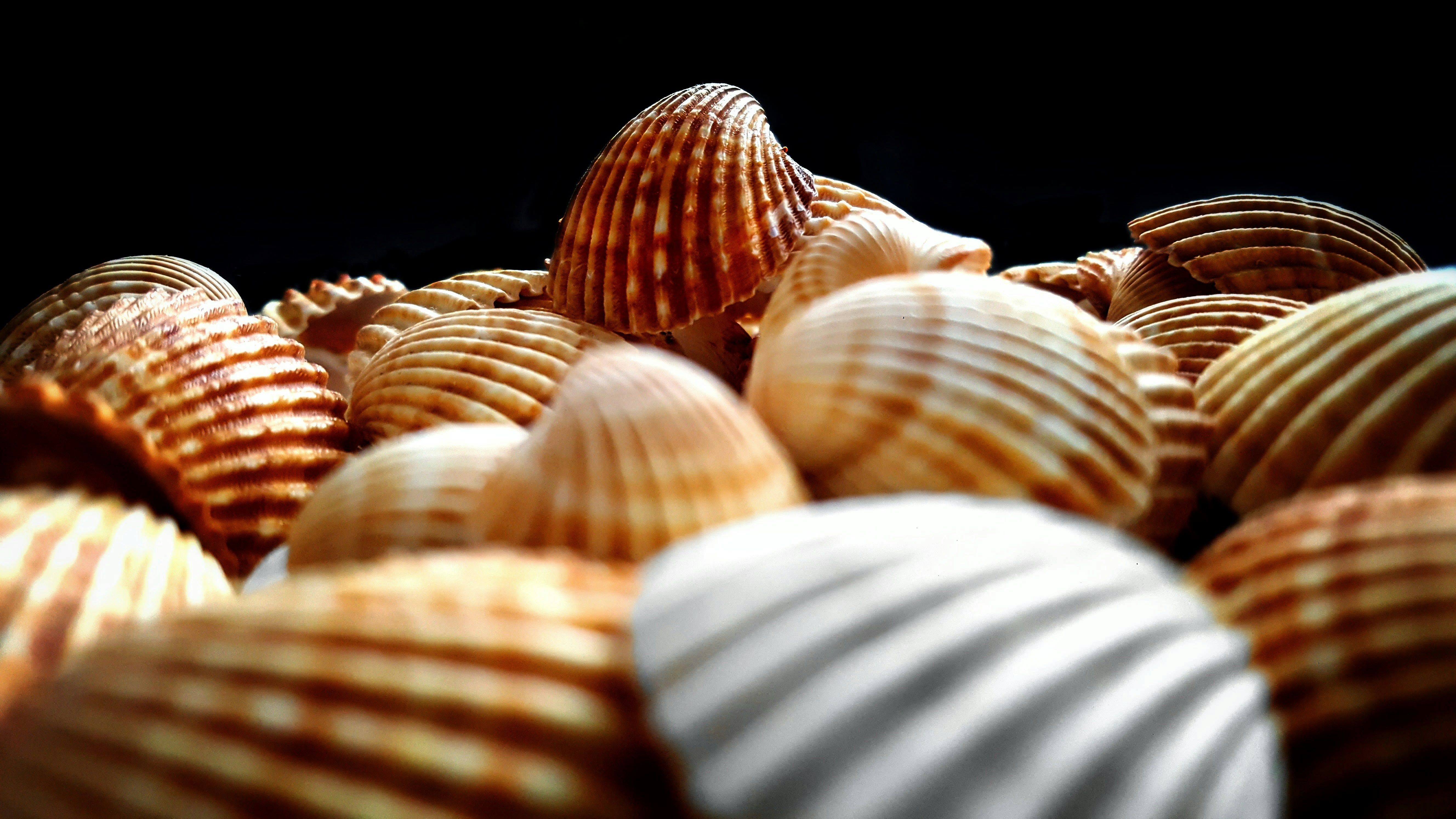 Free Unsplash photo from Oleksandr Shapovalov