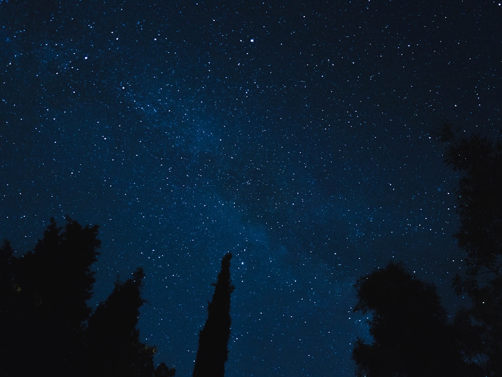 milky way galaxy photo