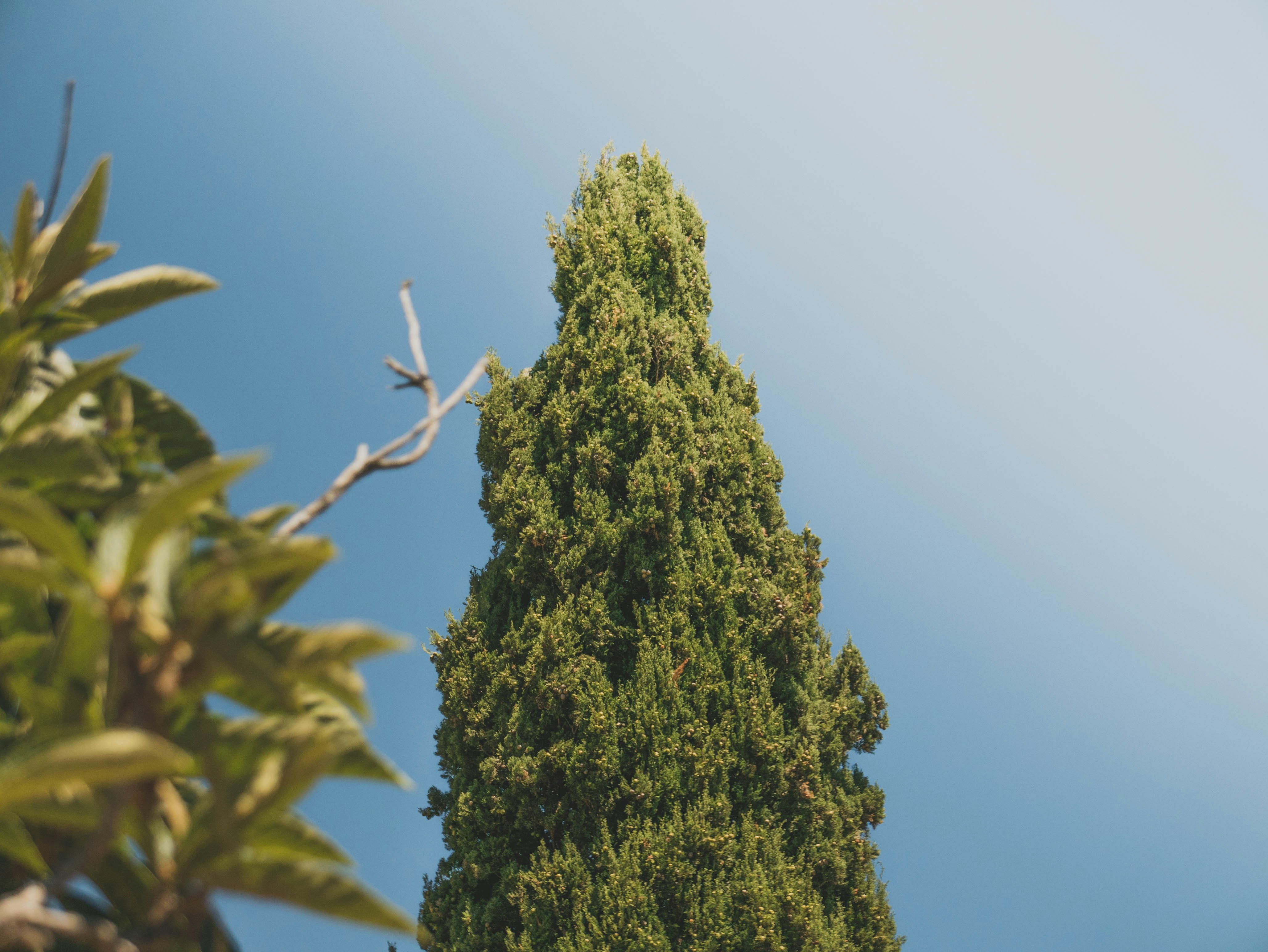 Free Unsplash photo from Mack Wanders