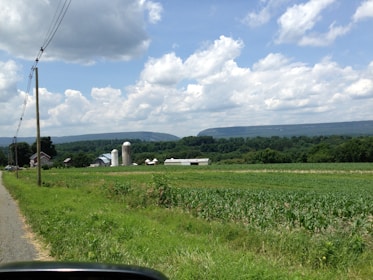 A rural landscape with a wide expanse of green farmland stretching into the distance, bordered by lush trees and rolling hills in the background. A few farm buildings, including silos and barns, are visible amid the fields. The sky is partly cloudy, with white clouds scattered across a blue sky. A narrow road runs alongside the farm, flanked by utility poles.