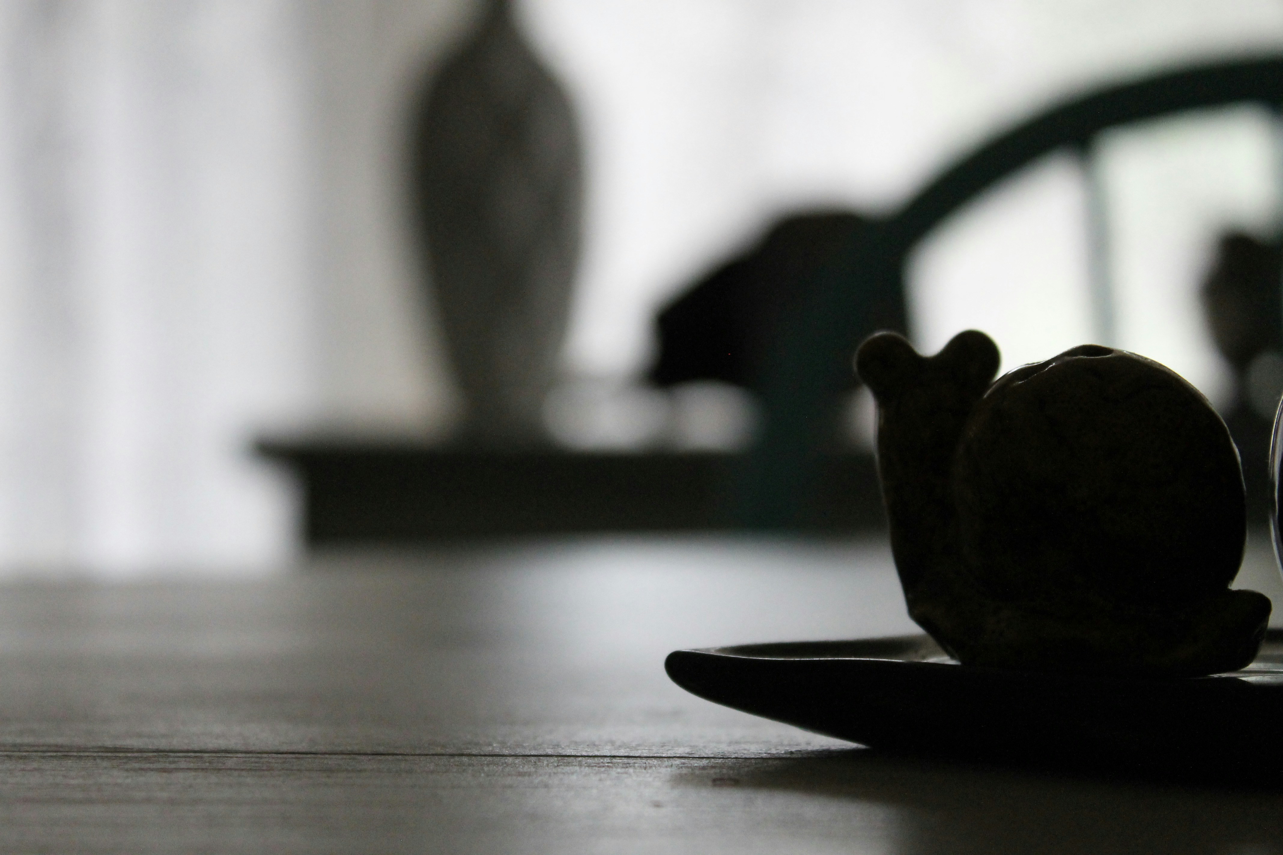 Free Unsplash photo from Todd Wikle