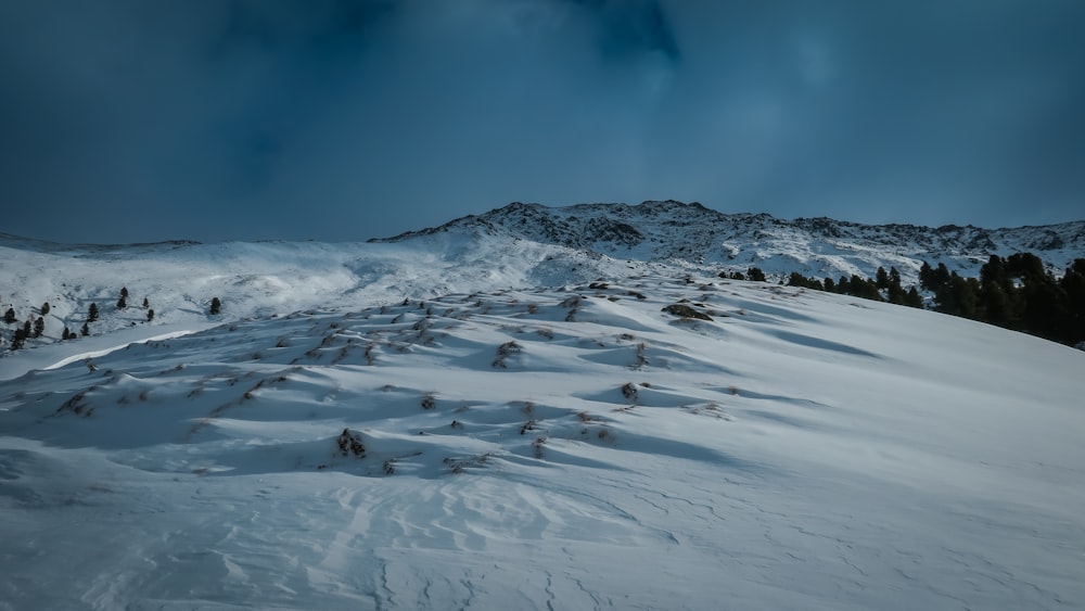 snow ground under white sky