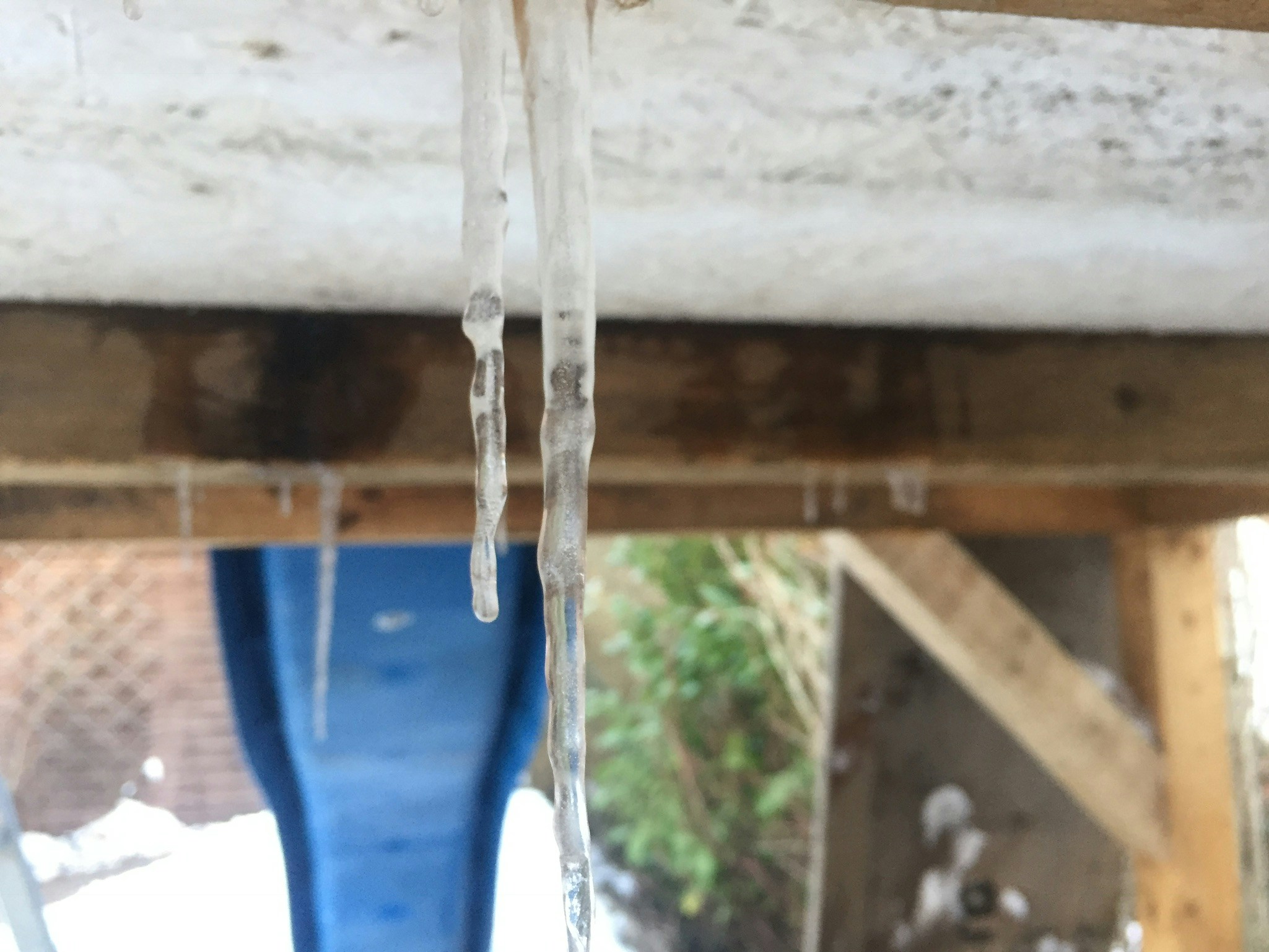 Free Unsplash photo from Flo Ue