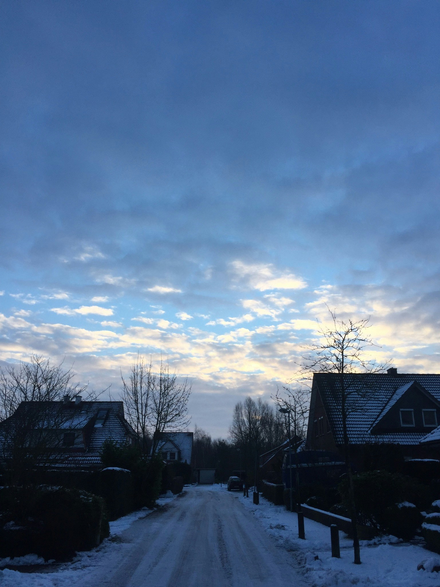 Free Unsplash photo from Flo Ue