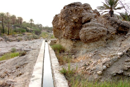 A rocky desert landscape featuring large rock formations and a narrow concrete aqueduct running through the scene. Sparse vegetation, including palm trees and shrubs, is scattered throughout the area, adding a touch of green amidst the earthy tones. The overall environment is arid, with signs of minimal water flow in the aqueduct.
