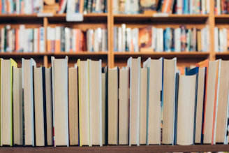 A neat row of color-graded books with their spines facing forward, set against a minimalist black and white backdrop.