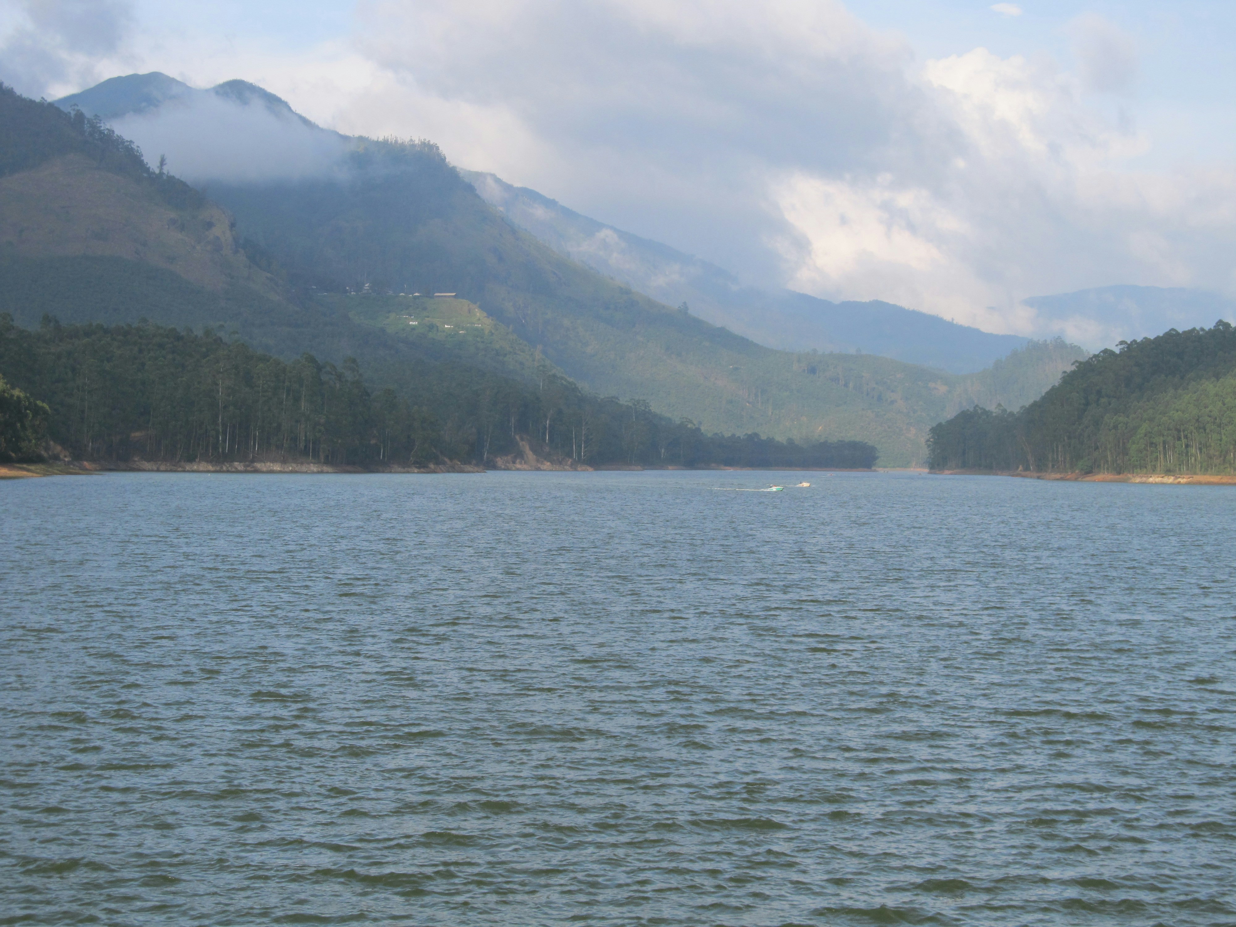 Free Unsplash photo from Bhavya Savani