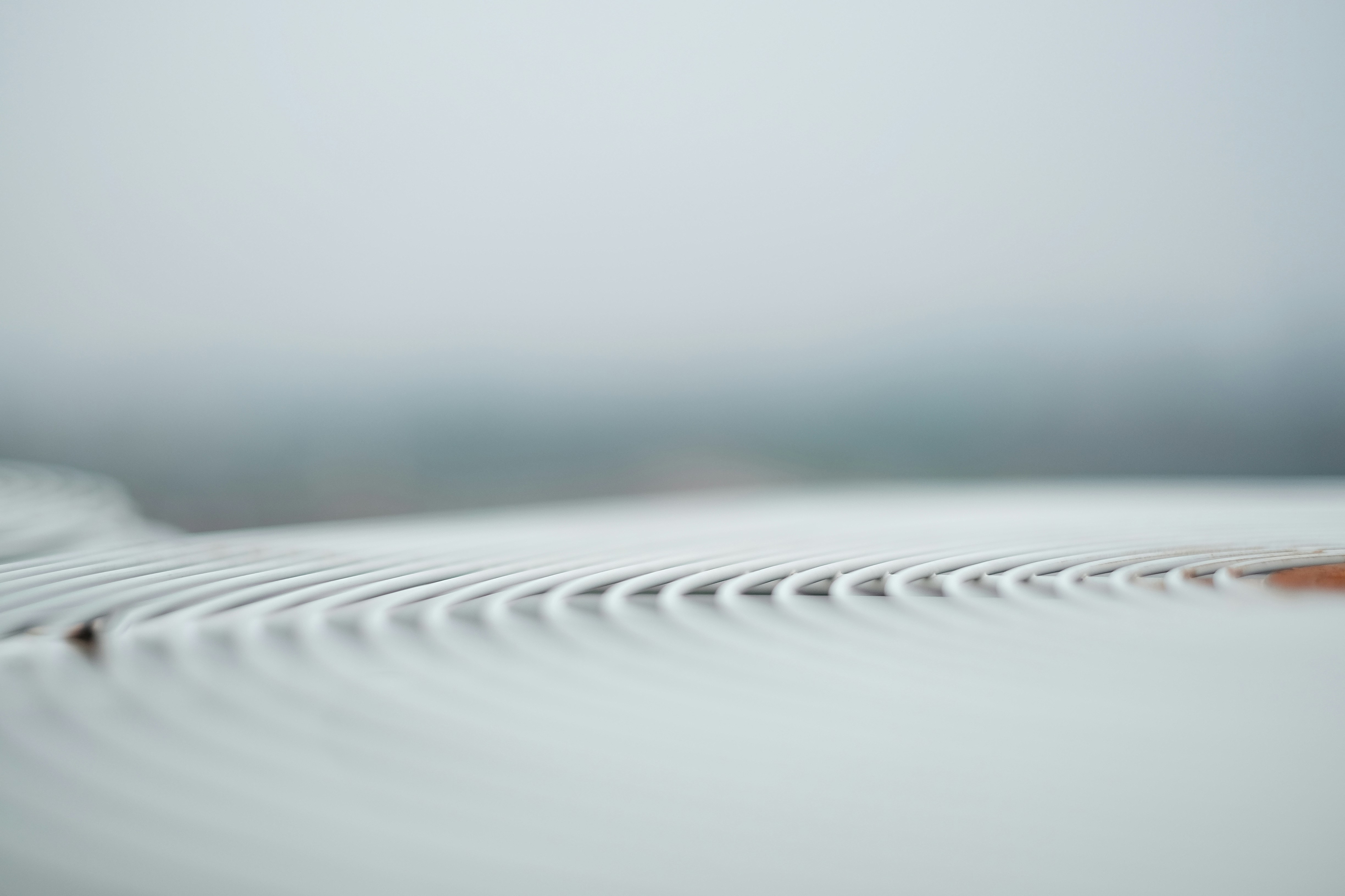 Free Unsplash photo from wang ward