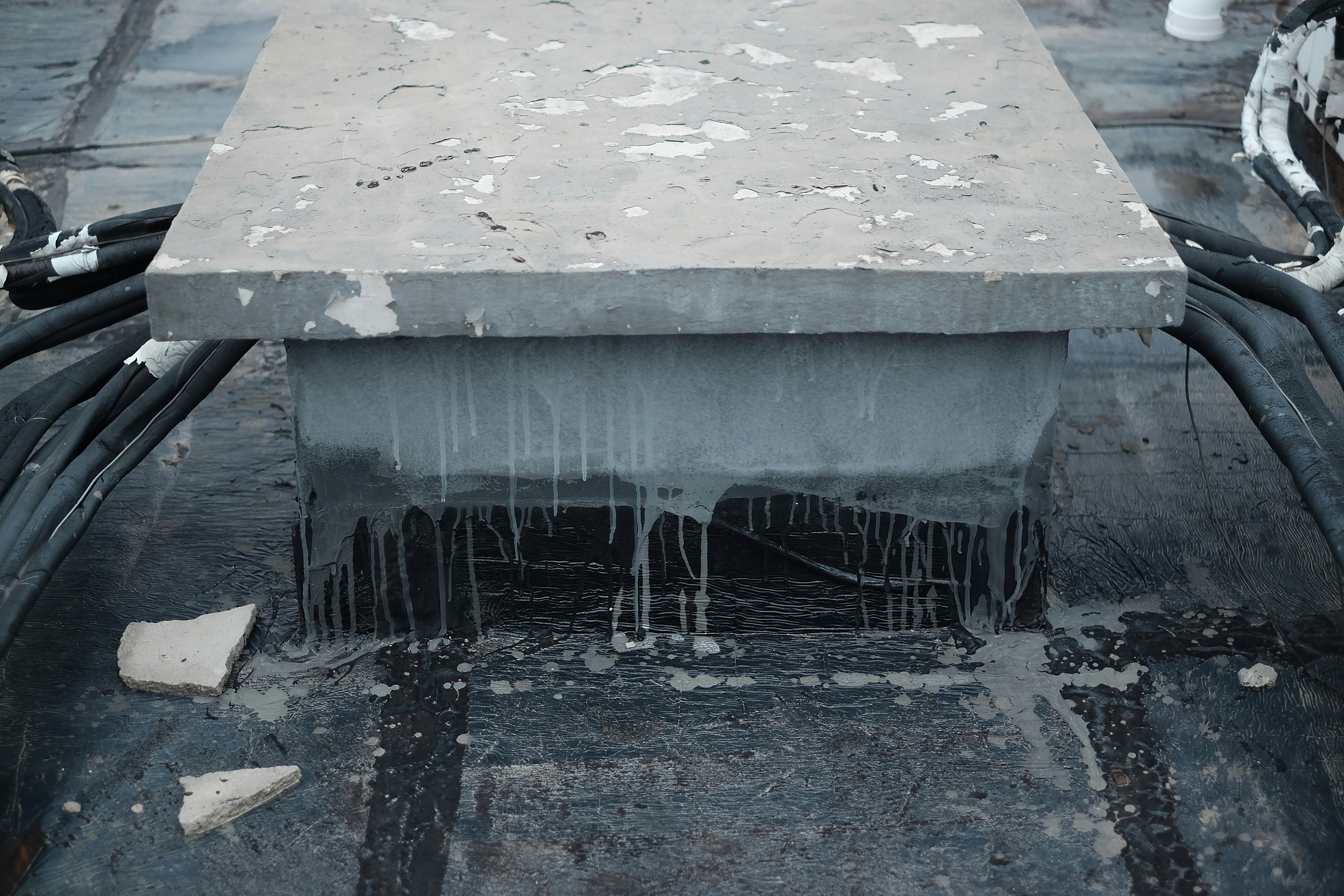 Free Unsplash photo from wang ward