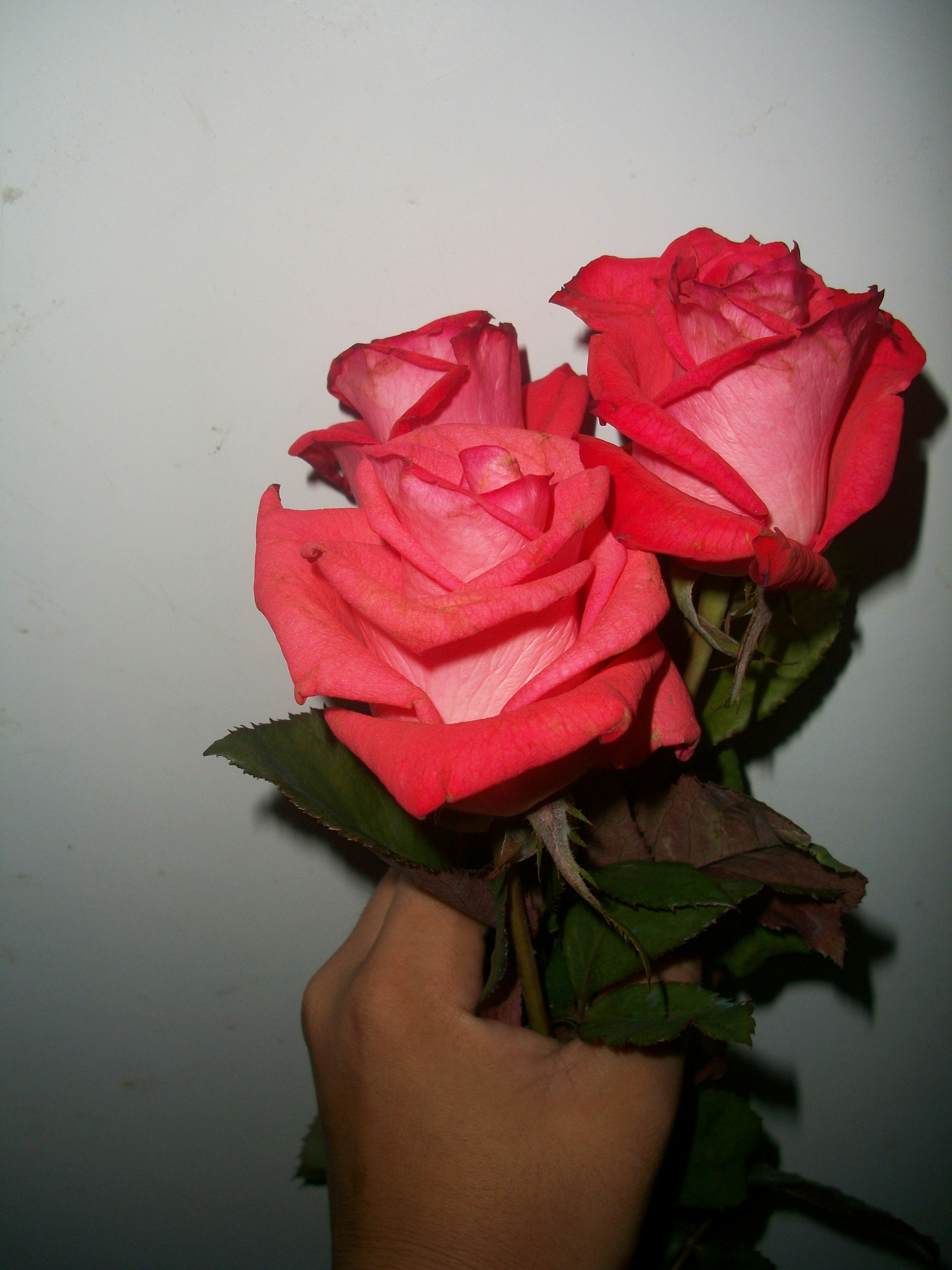 Free Unsplash photo from Jodie Anne Aumentar