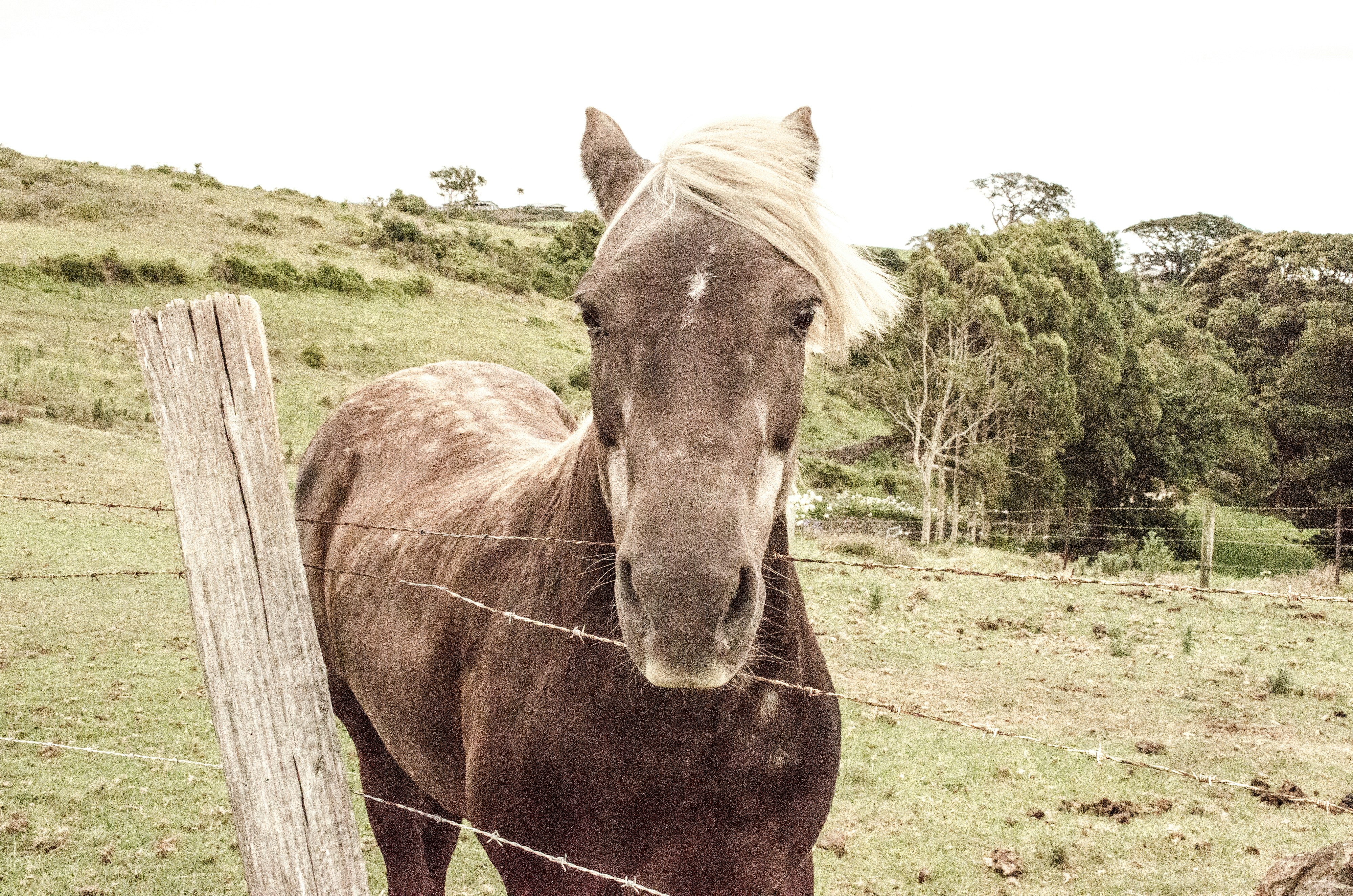 Free Unsplash photo from Matt Del Turco