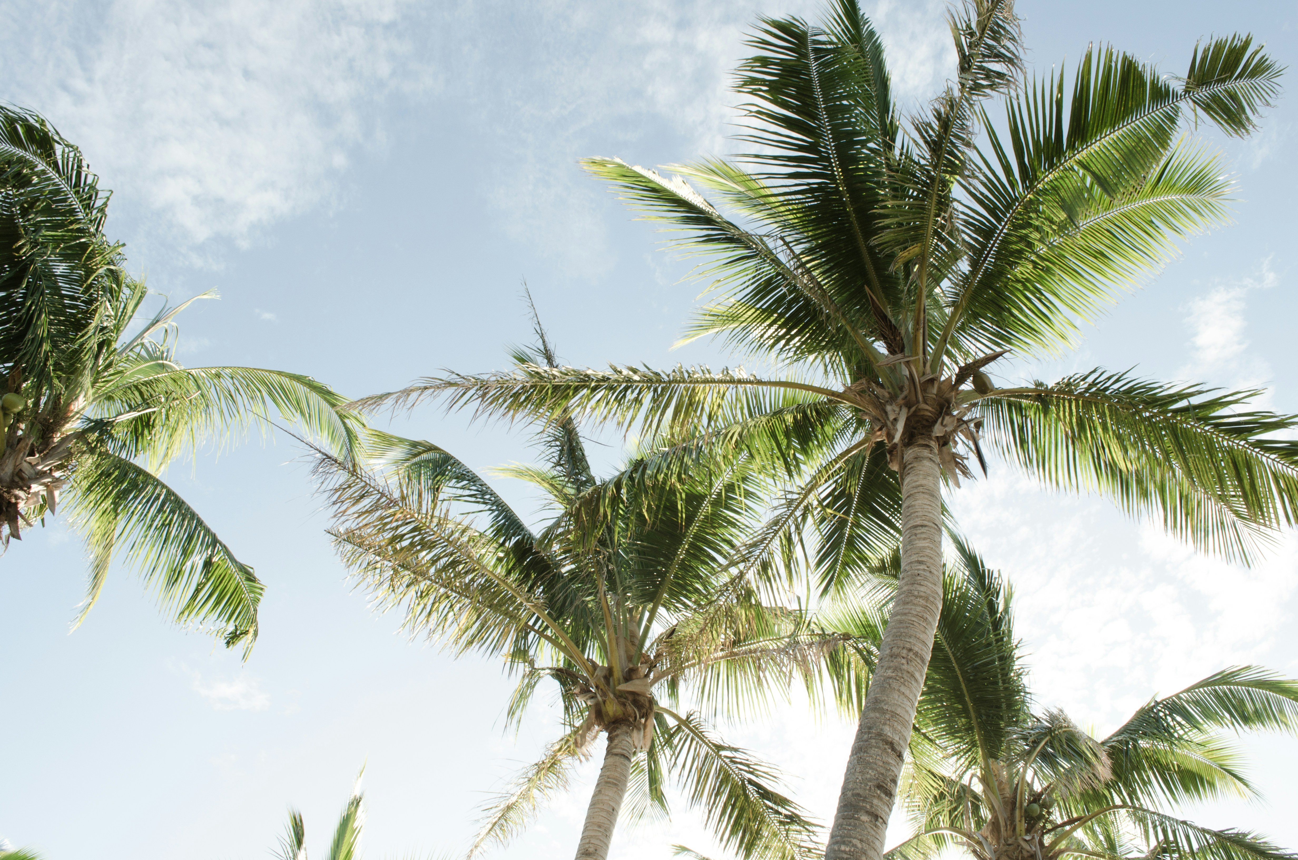 Free Unsplash photo from Matt Del Turco