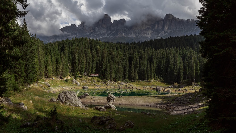 lake surrounded by forest landscape during daytime