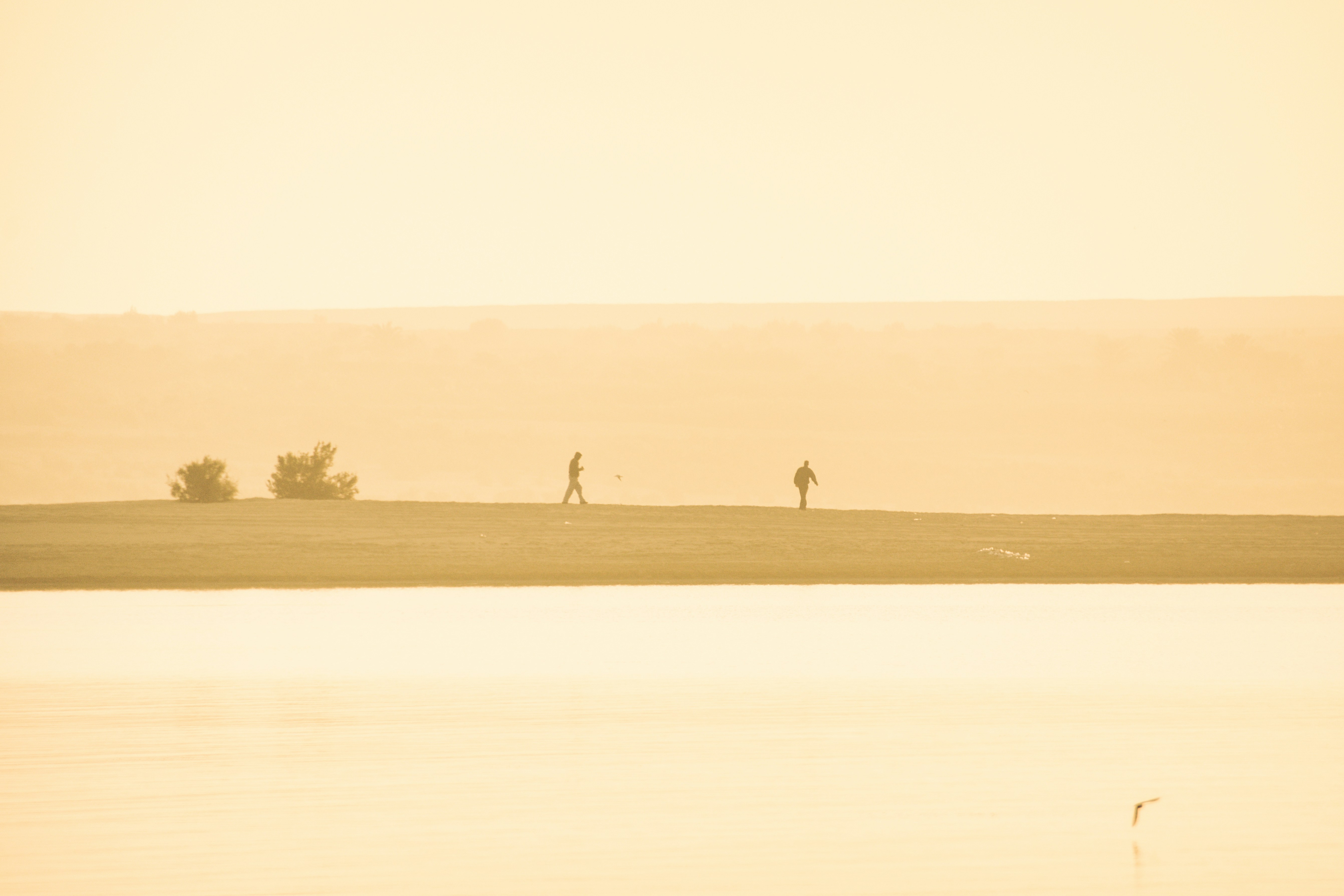 Free Unsplash photo from Mhmd Sedky