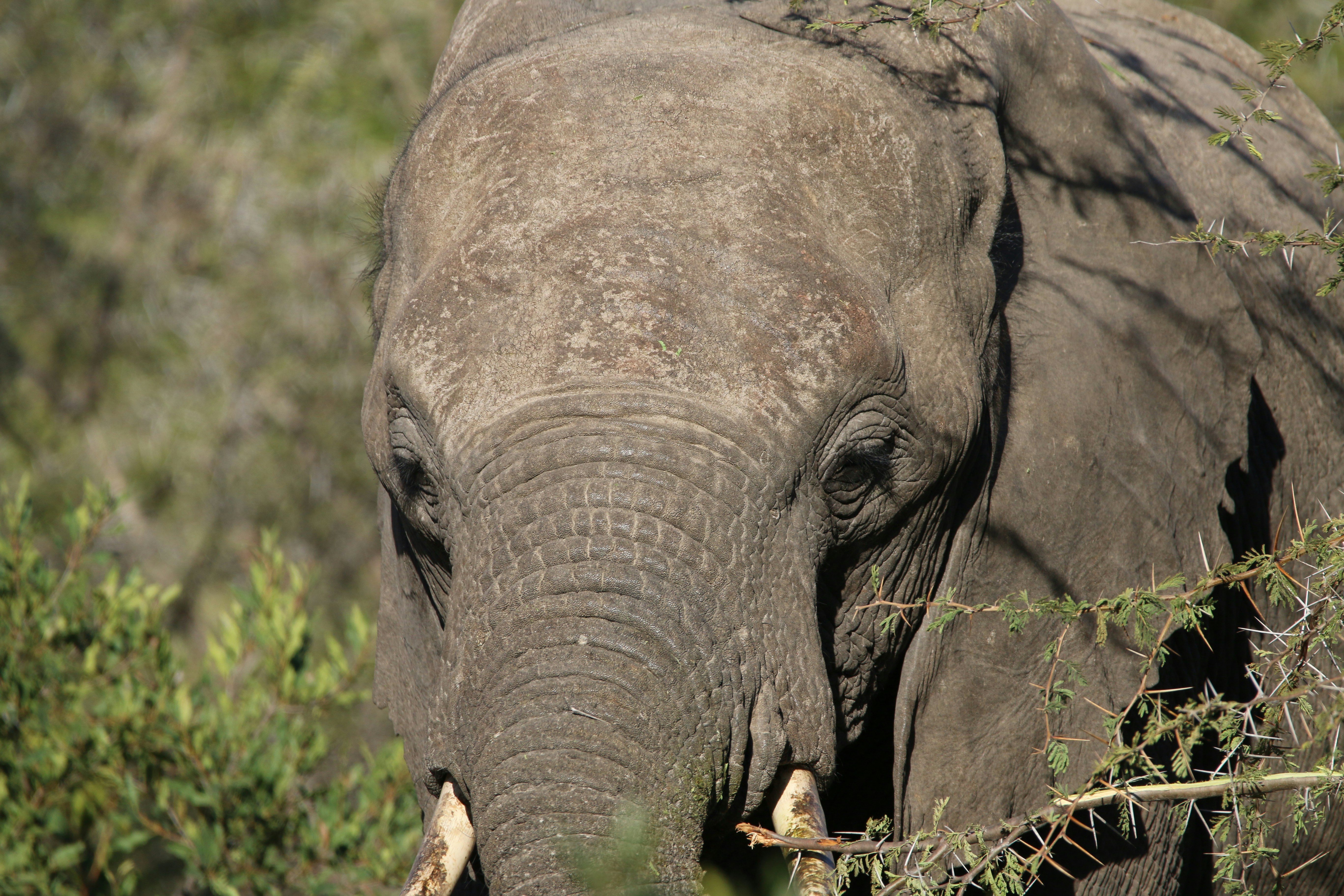 Free Unsplash photo from Tony Kirkbride