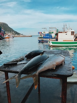 Freshly caught seafood delicacies served on a rustic wooden table by the water's edge.