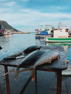 A rustic wooden table with an assortment of smoked fish and fresh seafood displayed.