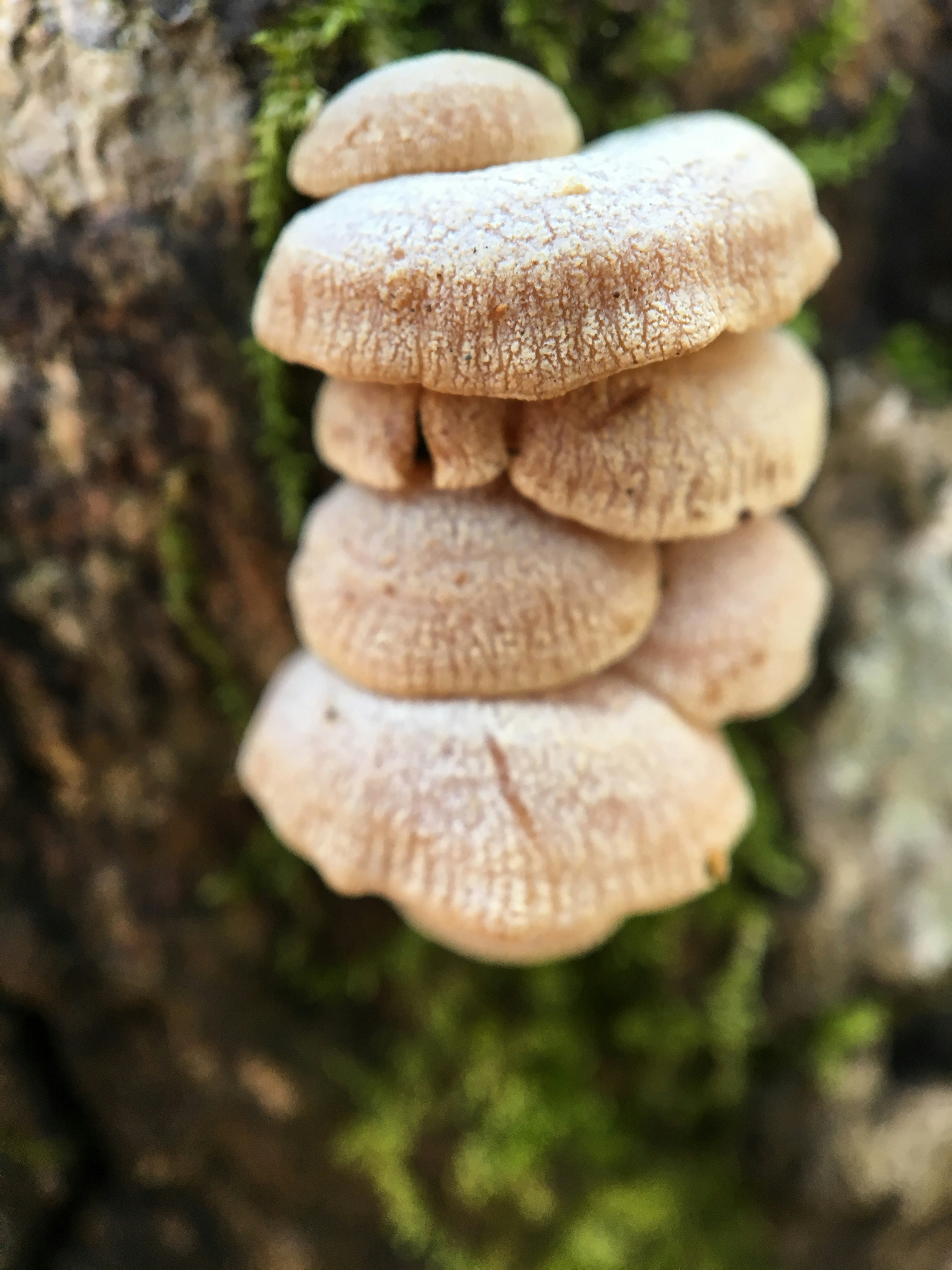 Free Unsplash photo from Urd  Milbury