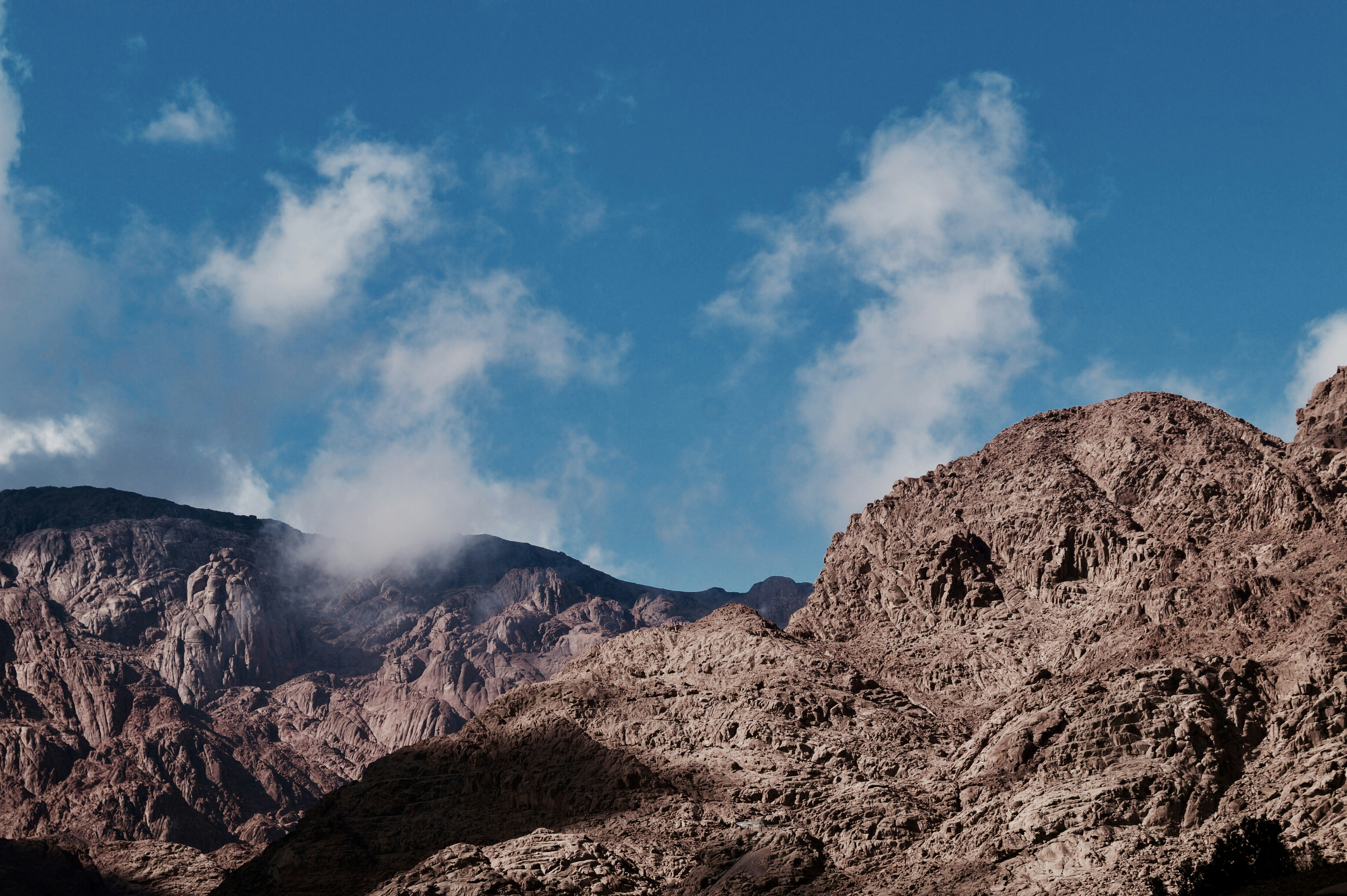 Free Unsplash photo from Mohamed Adel Hafez